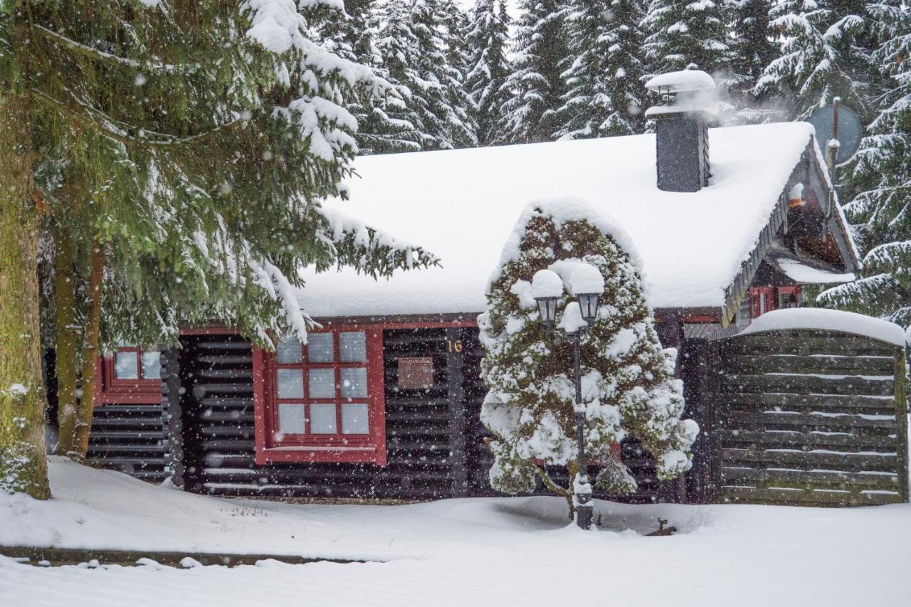 Ferienhaus Naturliebe Winterberg Exterior foto